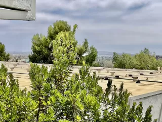 Photo #1: 260015385 Listing 