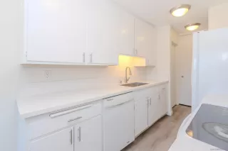 Photo #6: 260015436 Listing 