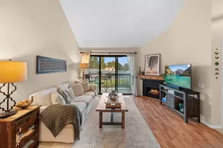 Photo #1: 260015473 Listing 