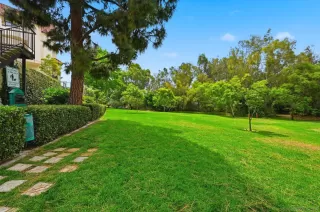 Photo #5: 260015496 Listing 