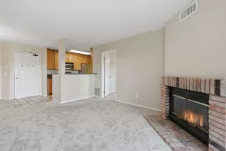Photo #6: 260015498 Listing 