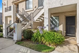 Photo #1: 260015547 Listing 