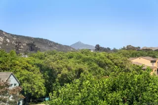 Photo #3: 260015709 Listing 