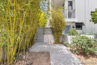 Photo #3: 260015838 Listing