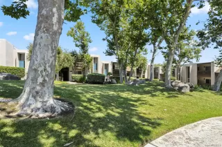 Photo #1: 260015980 Listing