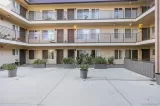 Primary Photo for MLS#: 260016011