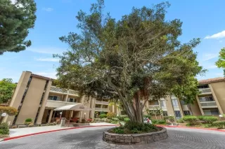 Photo #1: 260016074 Listing