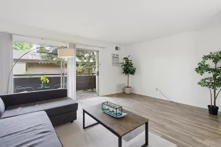 Photo #5: 260016096 Listing