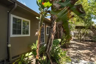 Photo #1: 260016135 Listing