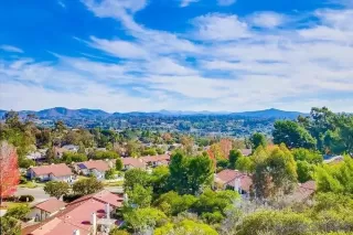 Photo #2: 260016152 Listing