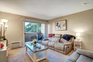 Photo #5: 260016243 Listing