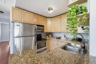 Photo #5: 260016252 Listing