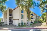 Primary Photo for MLS#: 260016376