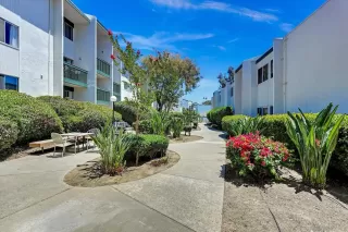 Photo #4: 260016615 Listing