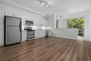 Photo #5: 260016651 Listing