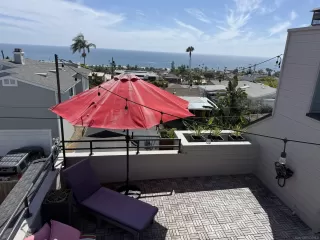 Photo #1: 260016802 Listing