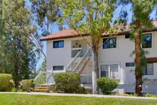 Photo #1: 260016978 Listing