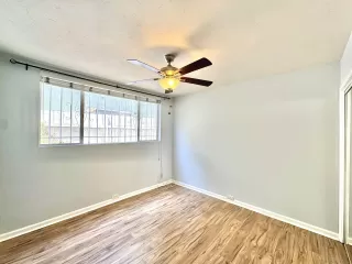Photo #5: 260017402 Listing