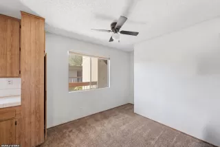 Photo #5: 260017510 Listing