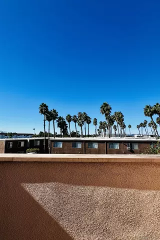 Photo #5: 260017721 Listing