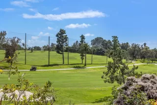 Photo #6: 260017747 Listing