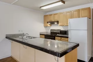 Photo #1: 260017819 Listing