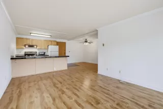 Photo #4: 260017819 Listing