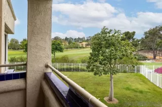 Photo #5: 260017913 Listing 