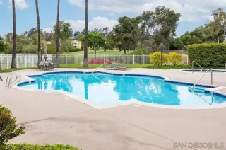 Photo #6: 260017913 Listing 