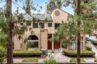 Photo #1: 260017942 Listing 