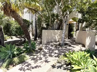 Photo #1: 260017965 Listing 