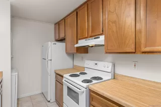 Photo #5: 260018014 Listing
