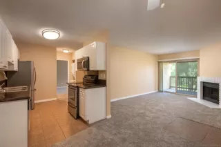 Photo #5: 260018239 Listing 