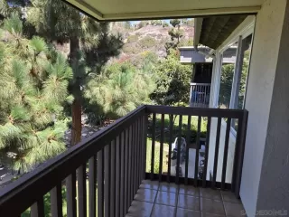 Photo #6: 260018274 Listing 