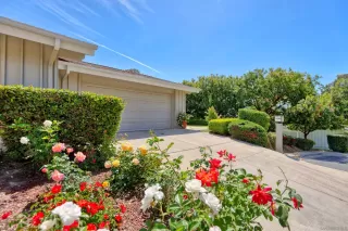 Photo #1: 260018399 Listing