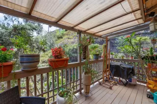 Photo #6: 260018596 Listing