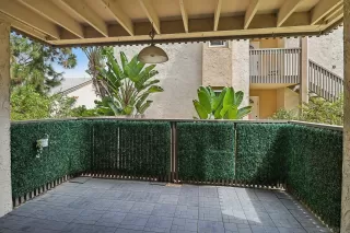 Photo #1: 260018780 Listing