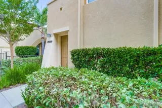Photo #2: 260019153 Listing