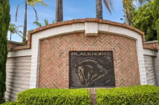 Photo #1: 260019183 Listing