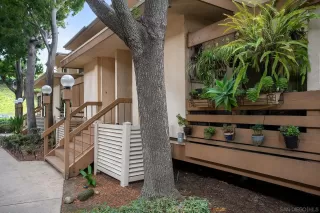 Photo #3: 260019692 Listing