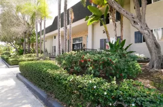 Photo #6: 260019842 Listing 