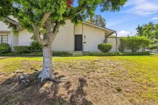 Photo #1: 260019846 Listing 
