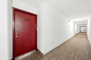 Photo #1: 260019878 Listing