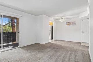 Photo #5: 260019887 Listing