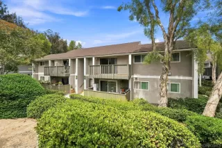 Photo #1: 260019926 Listing 