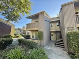 Primary Photo for MLS#: 260020176