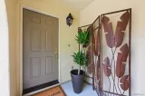 Primary Photo for MLS#: 260020282