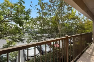 Photo #5: 260020599 Listing