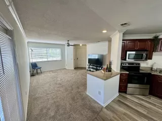Photo #4: 260020646 Listing