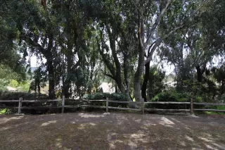 Photo #3: 2600394 Listing 